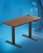 Adjustable Desk